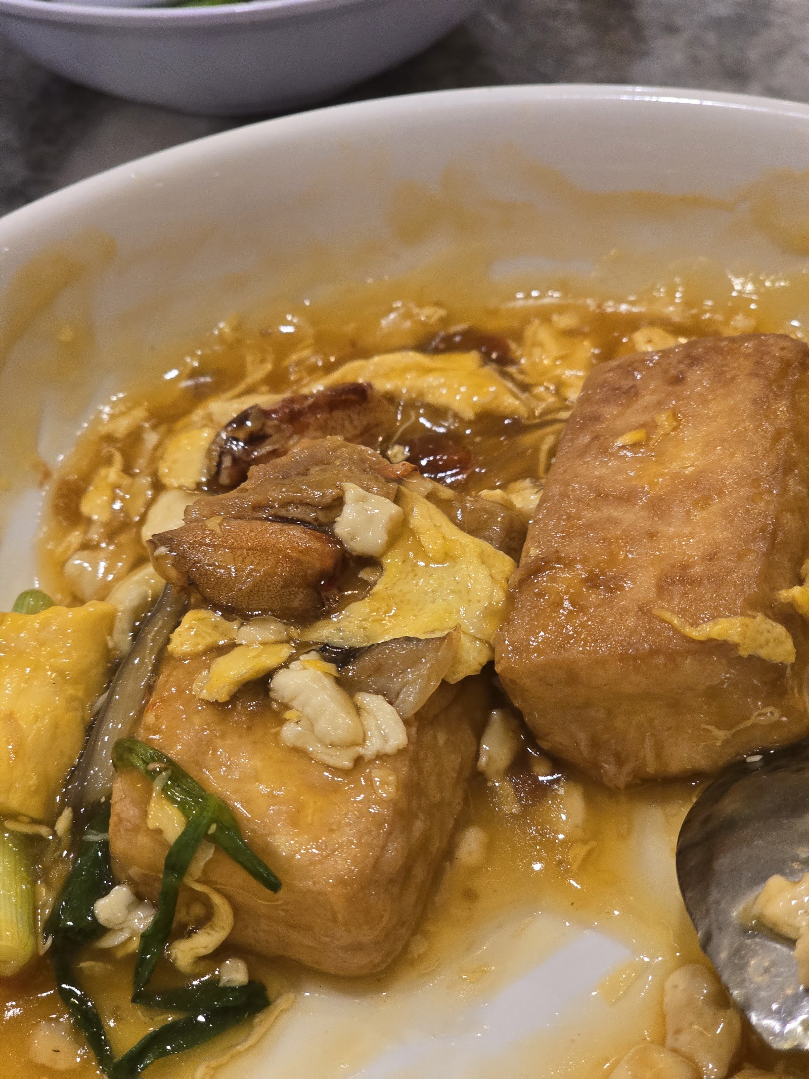 家常煎豆腐 Pan Fried Traditional Tofu with Sauce